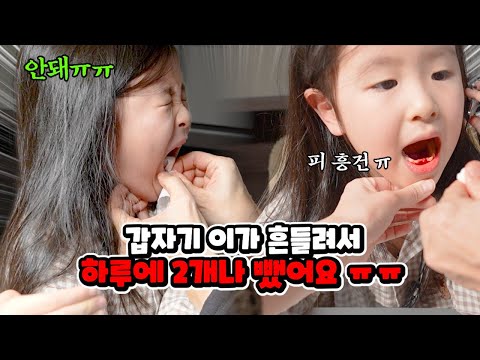 갑자기 아랫니가 흔들려서 2개나 뽑았어요.. 인생 처음이라 너무 무서운 치치ㅠㅠ | 유타 가족 일상 브이로그