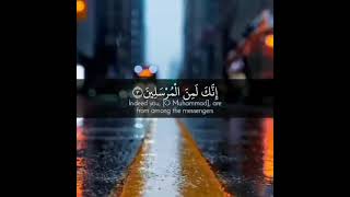 Download lagu Beautiful Quran recitation | Surah Yaseen | Reciter: Islam sobhi | mp3 Download lagu Beautiful Quran recitation | Surah Yaseen | Reciter: Islam sobhi | mp3