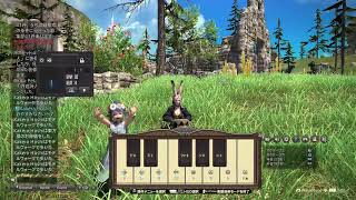 FF14  my  sisterと地図とプチモグ