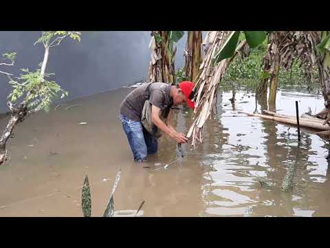 Banjir membawa berkah