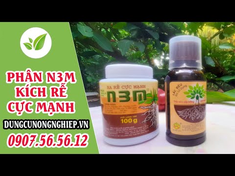 Cách sử dụng PHÂN BÓN N3M, ra rễ cực mạnh, dùng đúng cách mới đạt hiệu quả