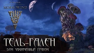 Башня Тель Гален - Дом Захваченный Грибом! Teso | Обзор