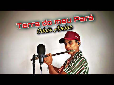 Sou Da Terra Do Pará - Conjunto de Carimbó Flor…