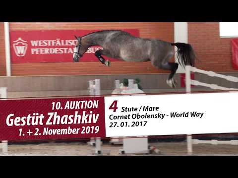 04 Stute / Mare v.Cornet Obolensky - World Way