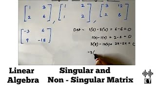 Linear Algebra | Singular and Non singular Matrix
