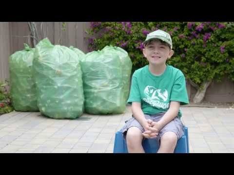 , title : 'This 9-year-old started his own recycling empire'
