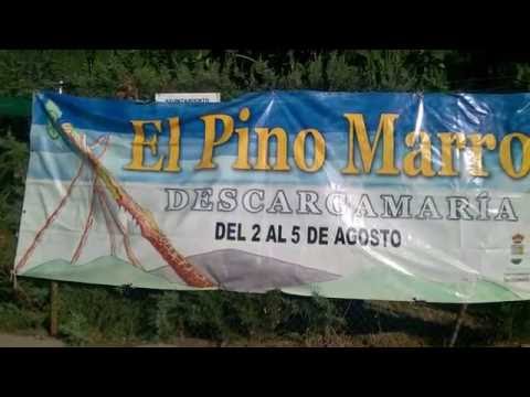 Descargamaría: Fiesta del "Pino Marro" 2016.