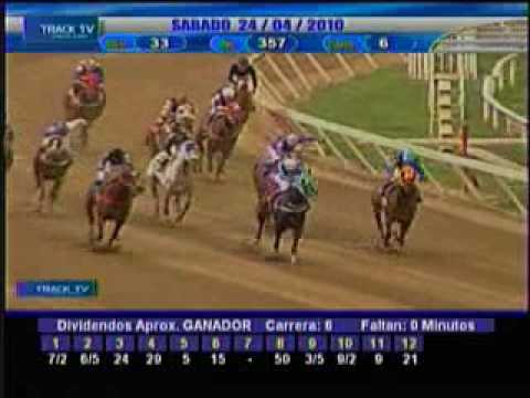 Resumen sábado 24 de abril 2010 - La Rinconada
