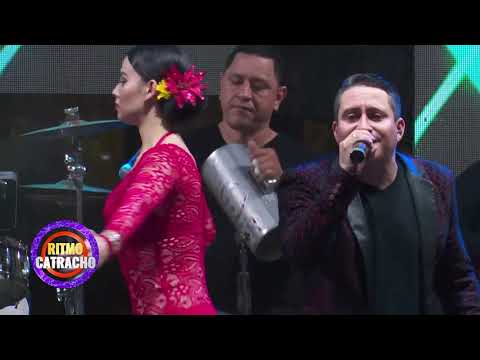 QUE BELLO LOS SILVER STAR EN VIVO