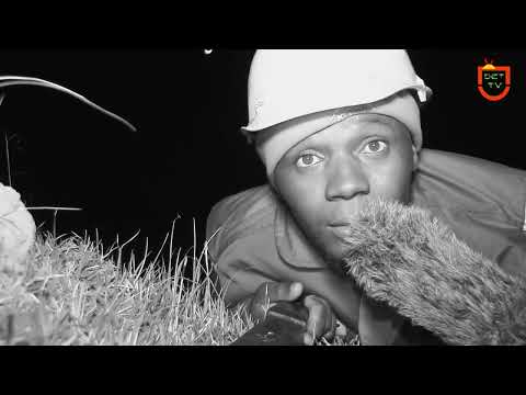 Ukuzingelwa kwenyoka yethoshi