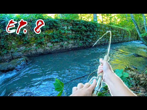 Searching for Big Brown Trout (Creek fishing) || STREAMER FISHING EP. 8