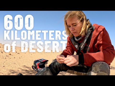 Was this even a good idea? |S7 - E14|