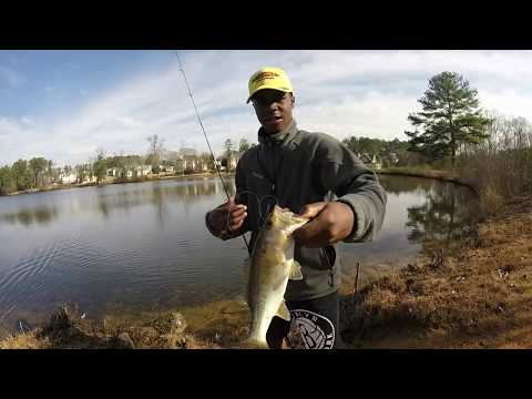 The 3 Bait Battle Ft Bryann Lee Bass