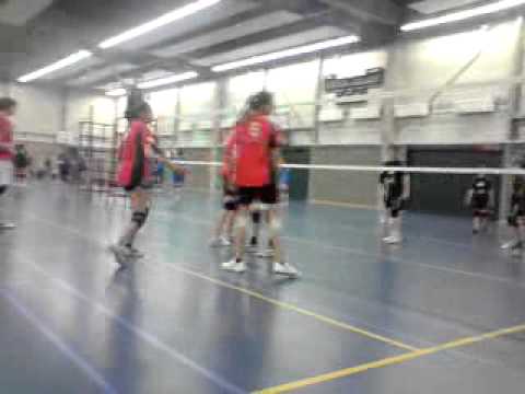 VOLLEYBAL