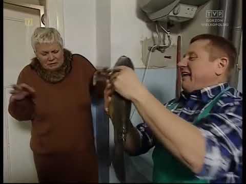 Święta wojna 319 Rybożerca