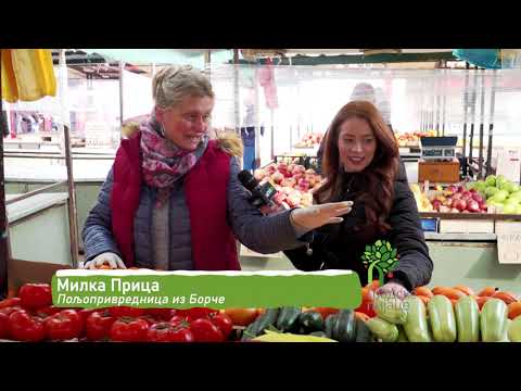 Ceger ep. 547 03.03.2021.