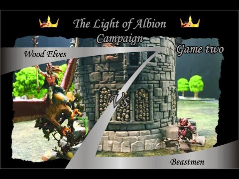 The Light of Albion Campaign - Game 2 -Wood Elves Vs Beastmen