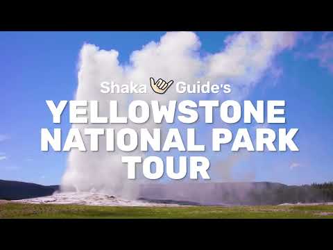Shaka Guide's NEW Yellowstone National Park Tour
