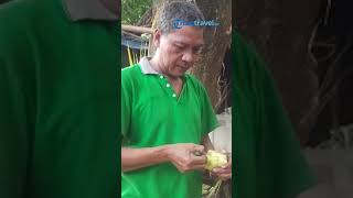 Jadi Makanan Khas Lebaran, Ini Tips Memilih Daun Kelapa yang Baik untuk Dijadikan Kulit Ketupat