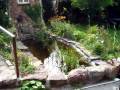 JACQUES HUSTIN CHANTE " LE VIEUX BERGER ...