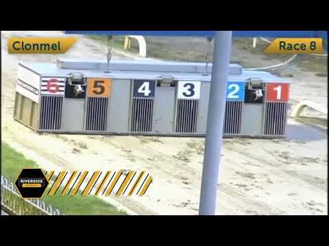 Newinn Taylor - Larry O'Rourke National Produce Stakes Semi Final 2