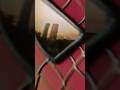 The Impact Of 9 11 On Hollywood From Spider Man To Lilo And Stitch Spiderman Marvel Shorts