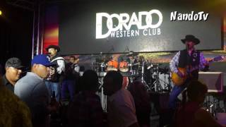 Los Palominos -  La Carta Que Nunca Envie