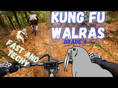 Kung Fu Walrus Trail