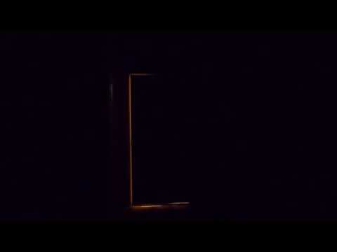 Movement on the other side of the fence