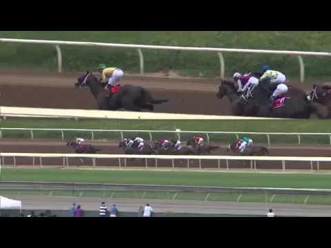 RACE REPLAY: 2015 Gold Cup at Santa Anita