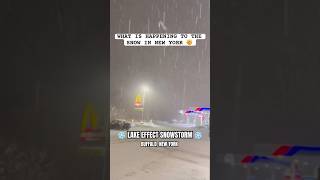 What is Happening to the Snow in New York | Lake Effect Snow Storm