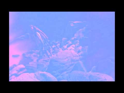 Crussen ft. Siggu - Dancin Above Me