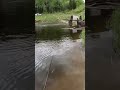 Video Thumbnail for Topwater Pike action! #pike #topwater