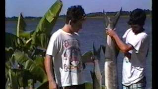 preview picture of video 'Ghana, Ada, fishing, Rich & Mike's barracudas.avi'