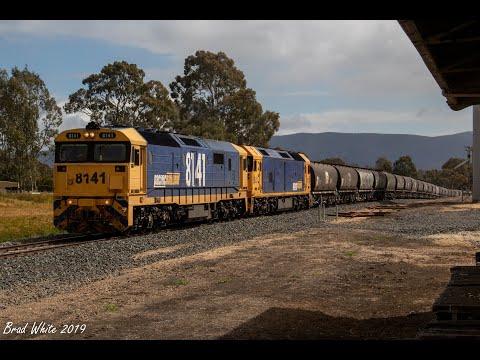 8141 and BL31 on 7937V Pacific National empty grain at Elmhurst, Avoca and Moonlight- 17/10/19