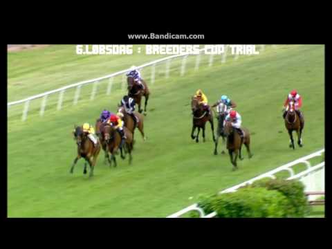 2015 Klampenborg Galopbane - Highlights all race days