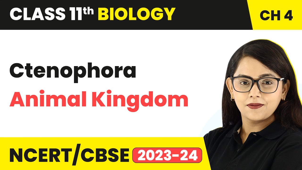Ctenophora - Animal Kingdom |  Class 11 Biology Chapter 4 | NCERT/CBSE