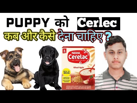Veg food rich diet puppy serelac, packaging size: 400 gm