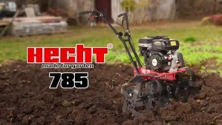 Hecht 785