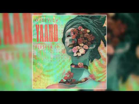 Yaano & Wingz - Pattern [Overview Music]