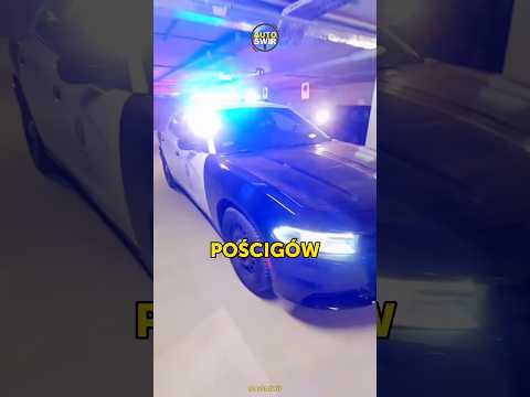 Czemu Chargery są NAJLEPSZYMI RADIOWOZAMI EVER?🔥