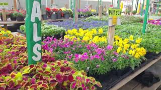 Menards shopping excursion. Outdoor plants now that the weather is nice! @Lisatthatsme 