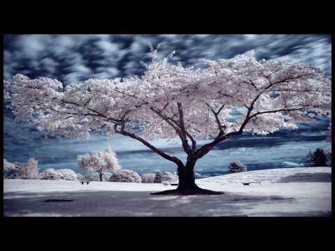 STEVE ALLEN   -  1946