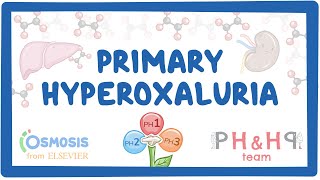 Primary hyperoxalurias: causes, symptoms, diagnosis, treatment, pathology