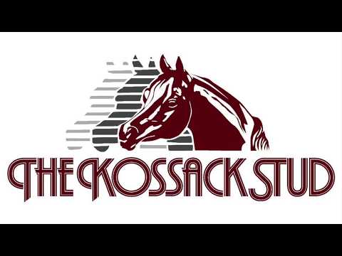 Habibs Nakanza (Kanz Albidayer x Nakuna Kossack by Kunar T)