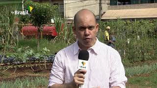 Miniatura do vídeo
