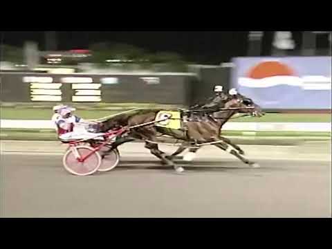 Somebeachsomewhere Tribute