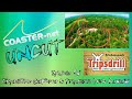 Expedition GeForce And Tripsdrill Park Review COASTER Net Uncut Episode 86