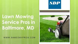 Professional Lawn Mowing Service in Baltimore
