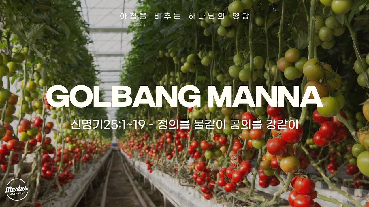 유투브 썸네일